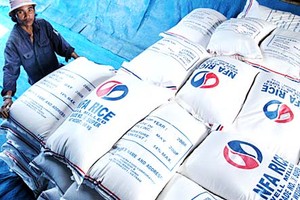  Vietnamese rice is exported to many countries in the world; so it needs a logo (Photo: SGGP)