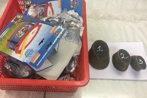 Pieces of rhino horns are seized at Tan Son Nhat Airport (Photo: SGGP)