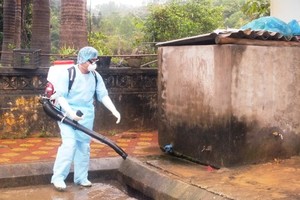Spraying chemicals to kill mosquitos and its larva (Photo: SGGP)