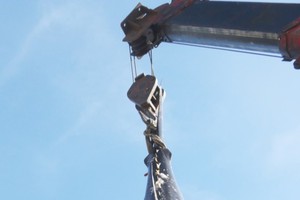 The tuna caught by fisherman Hoi in Phu Yen province (Photo: SGGP)