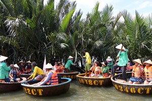 Hot tourism development devastates Bay Mau coconut forest in Quang Nam province (Photo: SGGP)