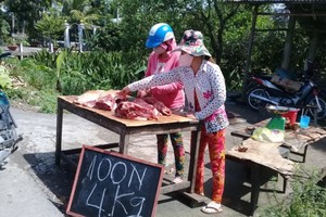 Breeders in Vinh Long Province sell pork in roadside (Photo: SGGP)