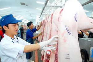 Food safety management board will issue animal quarantine certification since July 7 (Phhoto: SGGP)