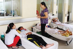 Dengue patients have to stay in path in  the Tropical Disease Hospital in HCMC (PHoto: SGGP)