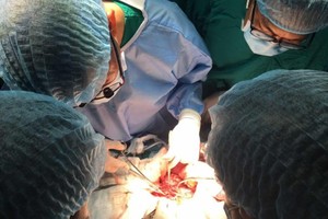 Cho Ray Hospital receives recording certifications in organ transplant