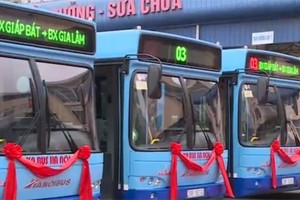 Hanoi pilots low-floor buses for disabled people