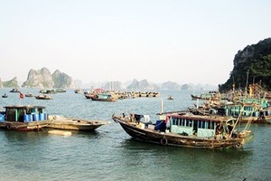 Over-fishing is fast depleting Quảng Ninh’s marine resources, but the northern province has not been able to tackle it effectively. (Photo baoquangninh.vn)