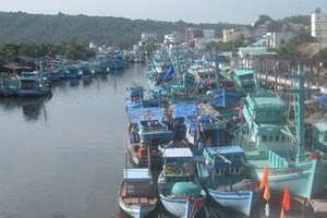 Mekong Delta takes urgent steps to cope with storm