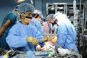Vietnam makes astonishing progress in organ transplant