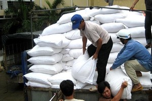 RoK offers 10,000 tonnes of rice in aid to typhoon-hit provinces of Vietnam. Illustrative image (Photo: VNA)