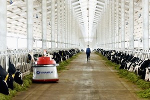 Vinamilk inaugurates IT-adopted milk cow farm in Thanh Hoa