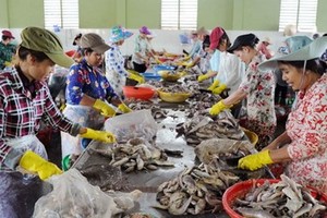 Project helps SMEs in Tra Vinh improve environmental knowledge