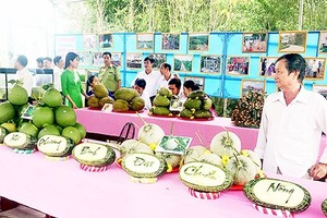 Agro-products of Hau Giang displayed (Photo: SGGP)