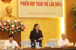 Vice NA Chairwoman Tong Thi Phong speaks at the meeting (Source: VNA)
