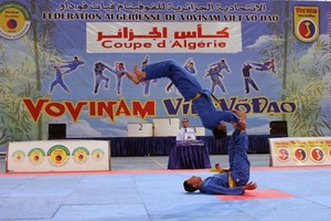 Martial artists compete at the event (Photo: VNA)