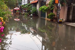 Flooded street Le Duc Tho in Go Vap District  (Photo: SGGP)