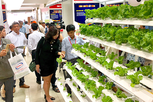 The system of organic growing of vegetables introduced in Techmart 2018. Photo by T.BA