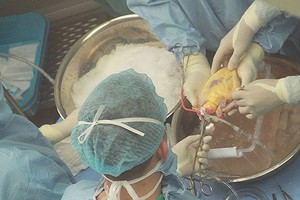 Surgeons perfom heart transplant on 53 year old man in Thua Thien - Hue province (Photo: SGGP)