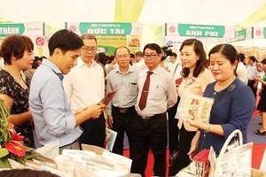 Binh Phuoc develops brandname of cashew attached with geographical indications