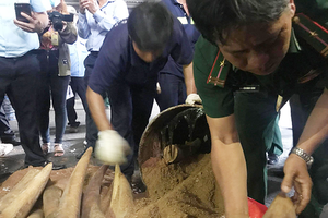 Relevatn agencies in Vietnam detect illicit wildlife trade last year (Photo: SGGP)