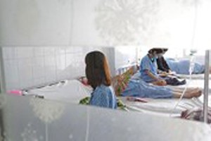 Swine flu A/H1N1 closely observed in Tu Du Hospital