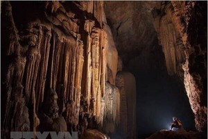 A cave at the park (Source: VNA)