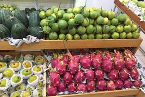 Fruits in the Can Tho Agricultural Products Week in Hanoi in March this year. (Photo: VNA)