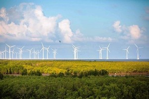 illustrative photo (Source : VNA)