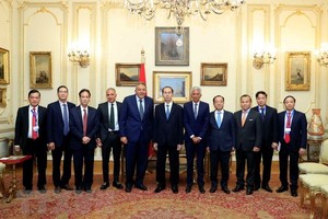 President Tran Dai Quang (middle) and leaders of the Federation of Egyptian Chambers of Commerce (Photo: VNA)
