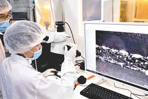 Engineers of USM Healthcare are producing the first Vietnamese stent. Photo by Hoang Hung