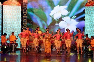 A performance at the festival (Photo: VNA)