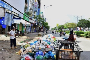 Litter drastically affects environment for years