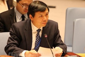 Head of Vietnam’s Permanent Mission to the United Nations Dang Dinh Quy addresses the debate (Photo: VNA)