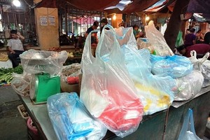 Plastic bags are sold at a traditional market in Hanoi (Photo: VNA)