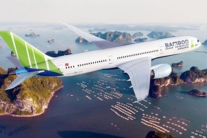 Bamboo Airways granted aviation business licence after long time wait