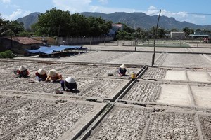 ADB project to modernize Vietnam’s irrigation systems