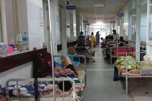 Outbreaks of dengue in Da Nang City