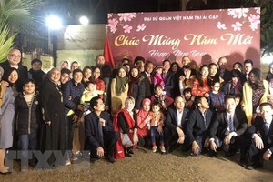Ambassadors meet with overseas Vietnamese ahead of Tet