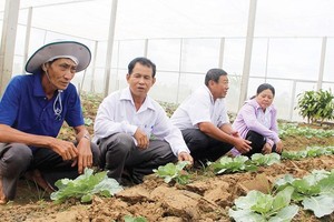 These farmers in Soc Trang province have applied modern agricultural techniques to improve their income (Photo: SGGP)