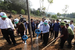 The New Year Tree Planting Festival is launched in Yen Bai province. (Photo: VNA)