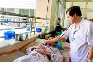 One Vietnamese adult dies of dengue