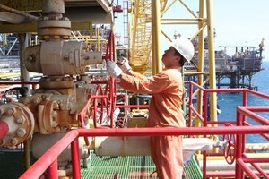 Blue Whale gas field project to be launched in Quang Nam