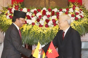Party General Secretary and President Nguyen Phu Trong (R) and visiting Sultan of Brunei Haji Hassanal Bolkiah (Photo: VNA)