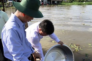 Breeding shrimp, fish released into river to protect living aquatic resources