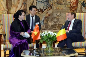 National Assembly Chairwoman Nguyen Thi Kim Ngan (L) meets President of the Chamber of Representatives of Belgium (Source: VNA)