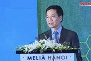 Vietnam aims at becoming giant in cyber security