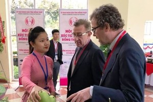 Mekong delta province exports mango to US for first time