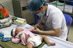 Japanese encephalitis enters its peak season in Vietnam