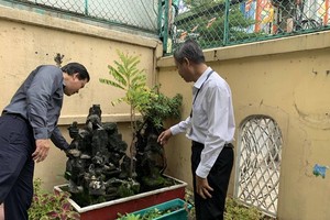 Dengue prevention campaign launched in HCMC