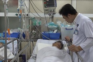 Man bitten by tiger at ecotourism site in stable condition